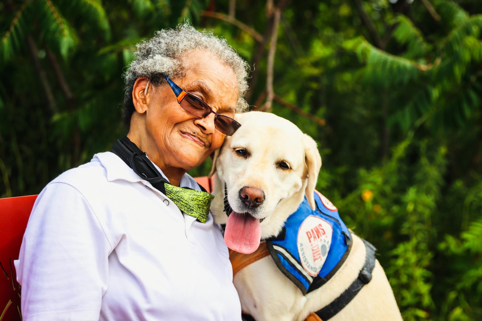 Elderly woman embracing her service Labrador Retriever outdoors, showcasing companionship.