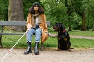 Blind woman with a guide dog and walking stick sitting on a park bench.