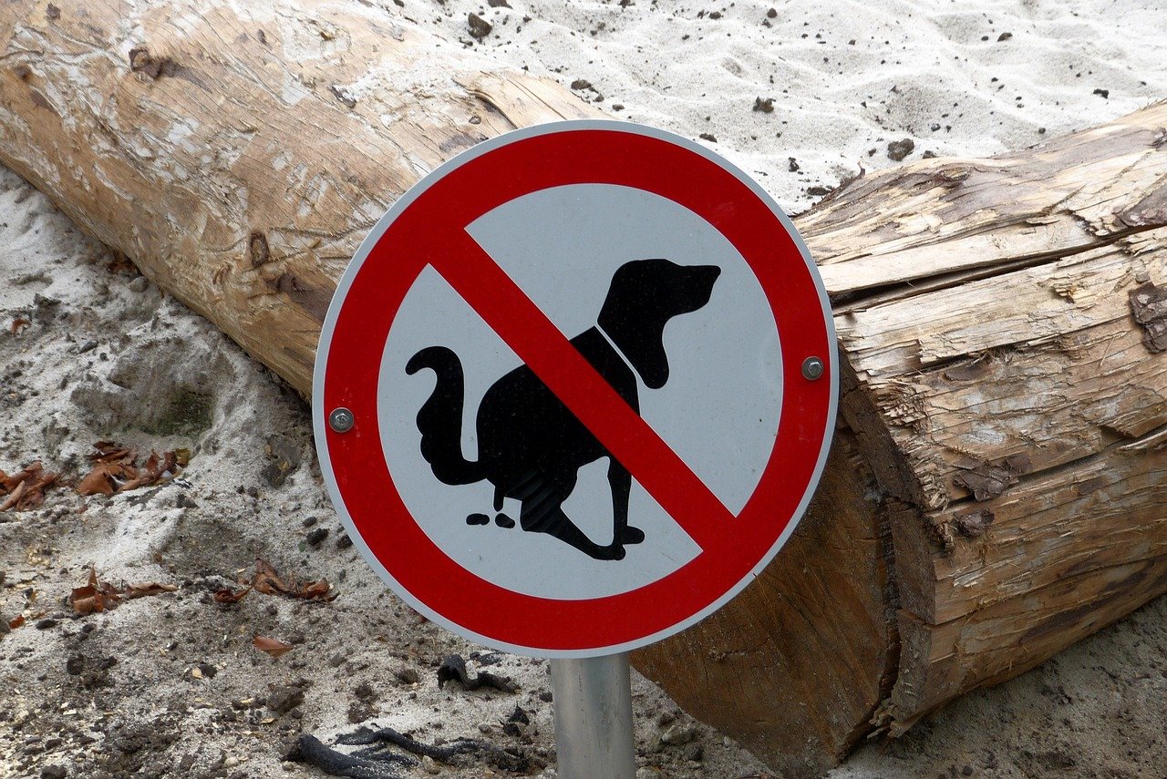 prohibitory, sandpit, pet, dog, to play, children, dog poop, animal, sand, dog poop, dog poop, dog poop, dog poop, dog poop