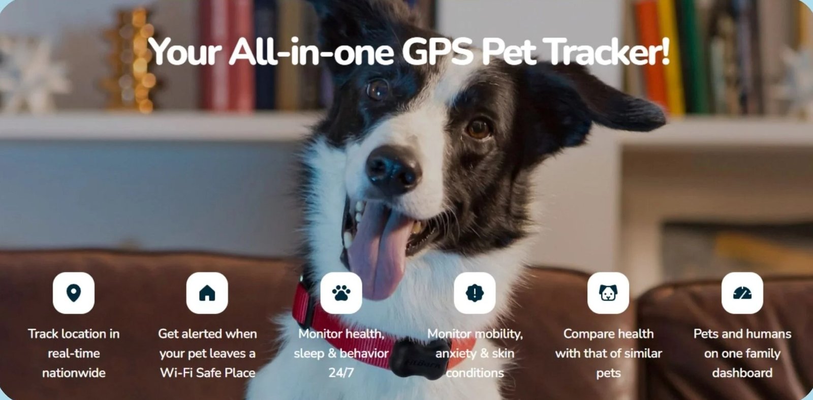 gps-dog-collar