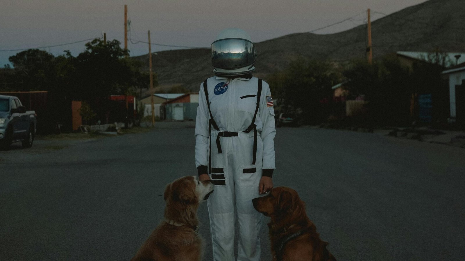 A person in an astronaut suit stands with two dogs on a quiet street at twilight. Dog Video Magazine