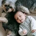 A peaceful moment with a baby and Yorkshire Terrier dog lying together on a bed indoors.