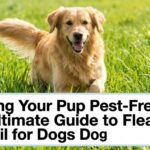 How to keep your dog and home pest-free?