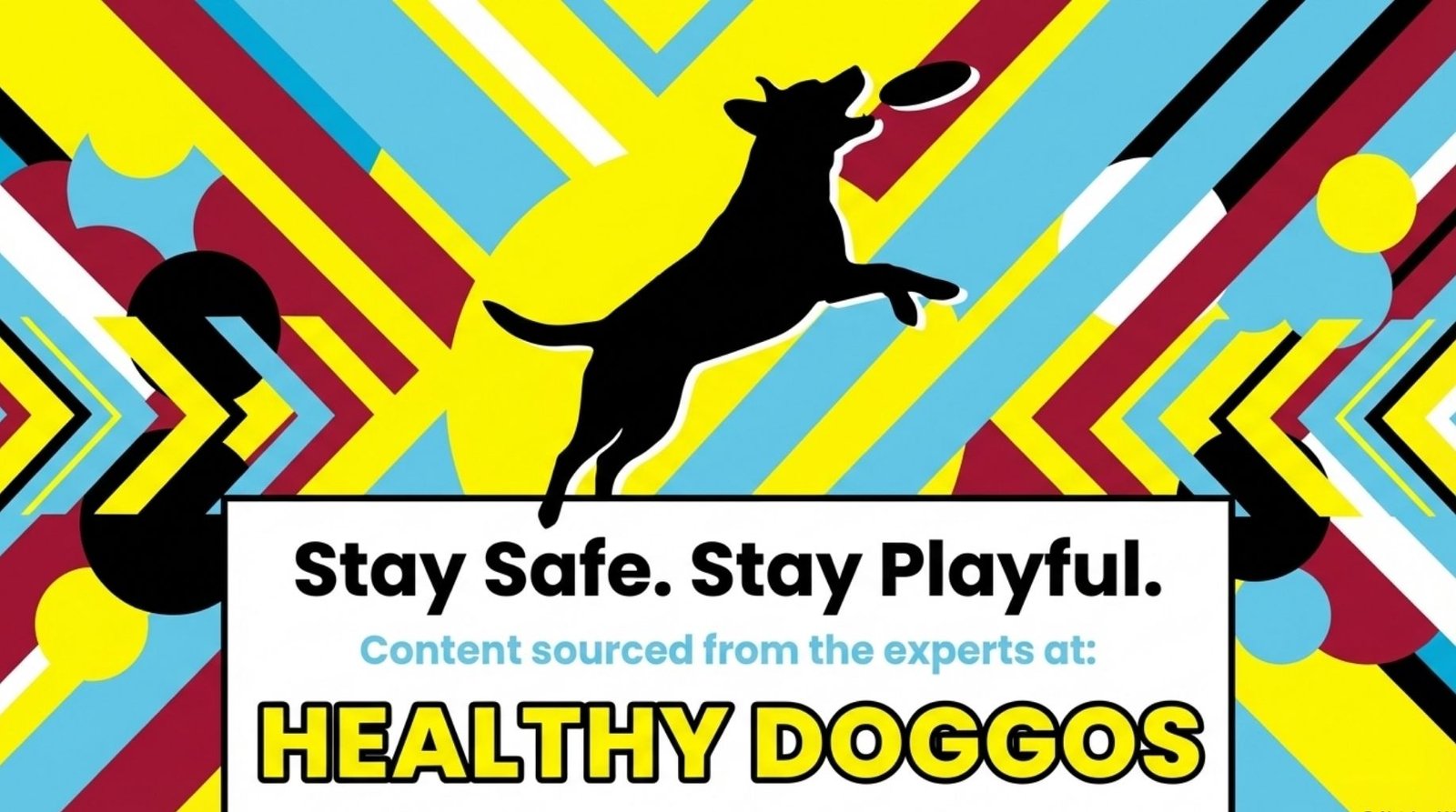 read the healthy doggos blog