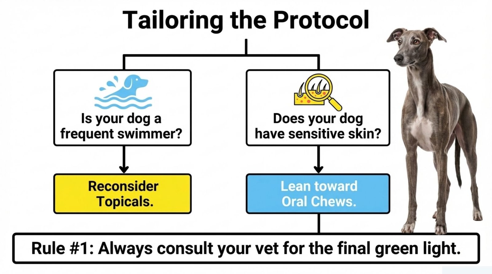 Protocol for Flea and Tick Control for Dogs