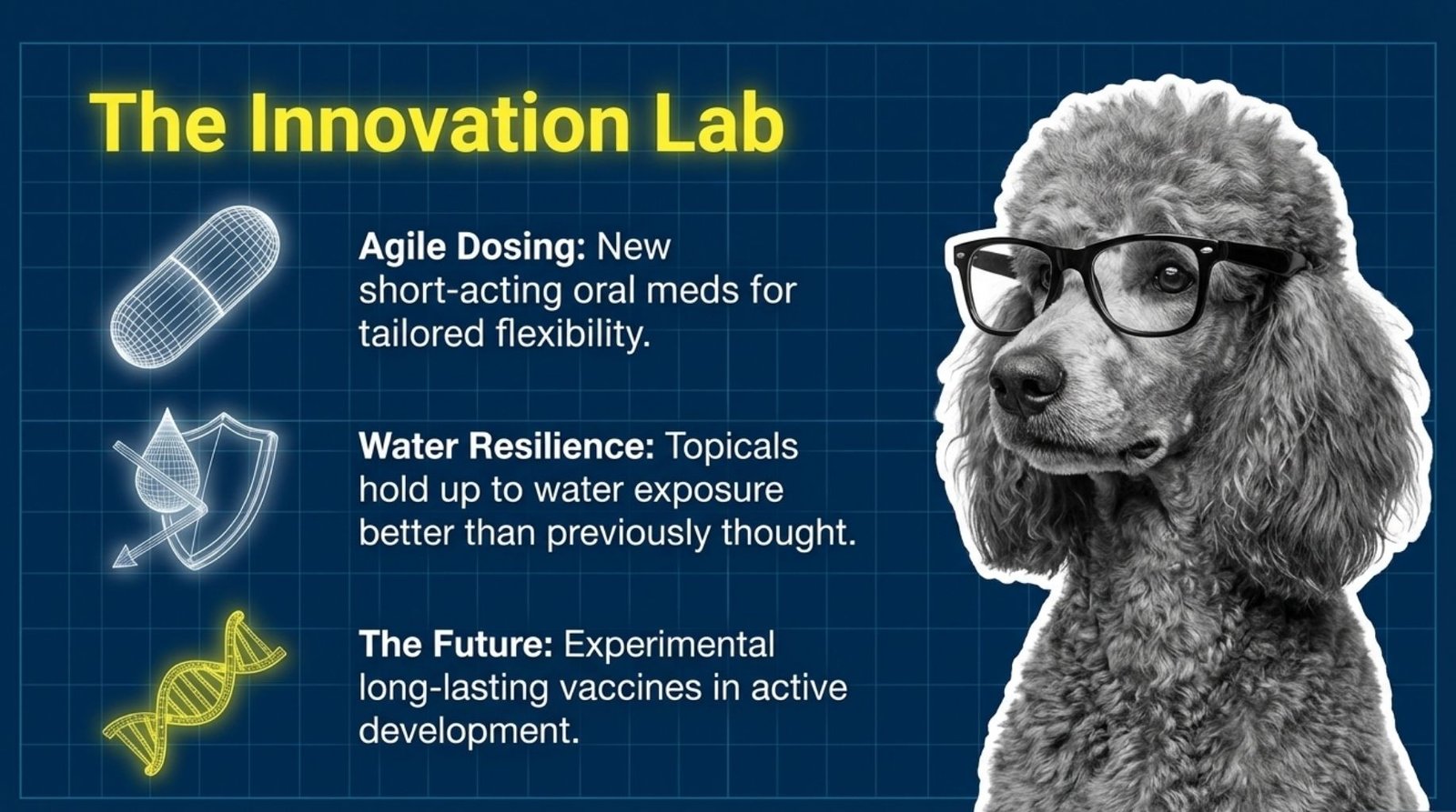 Innovation lab for dog safety