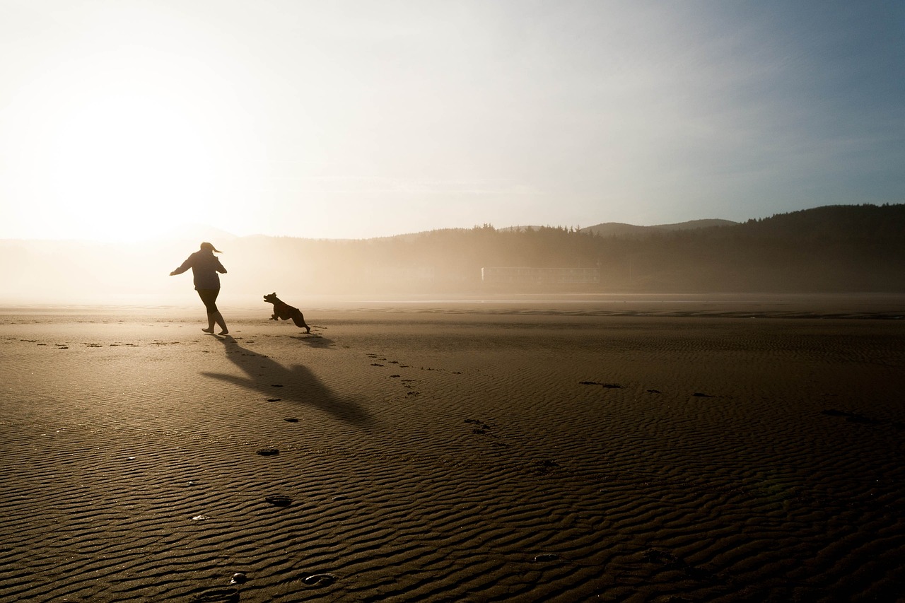 dog is chasing a woman at the beach
