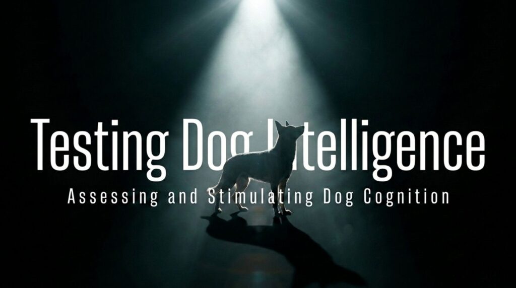 Testing The Intelligence of Your Dog A Fun and Engaging Activity