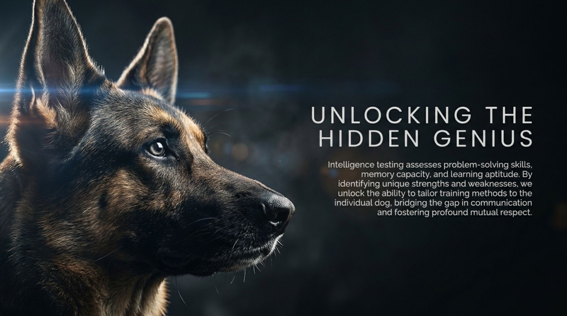 unlock the hidden furry genius